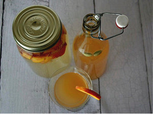 Bubbly Fermented Sodas