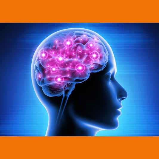 5 Tips to Protect and Power Your Brain