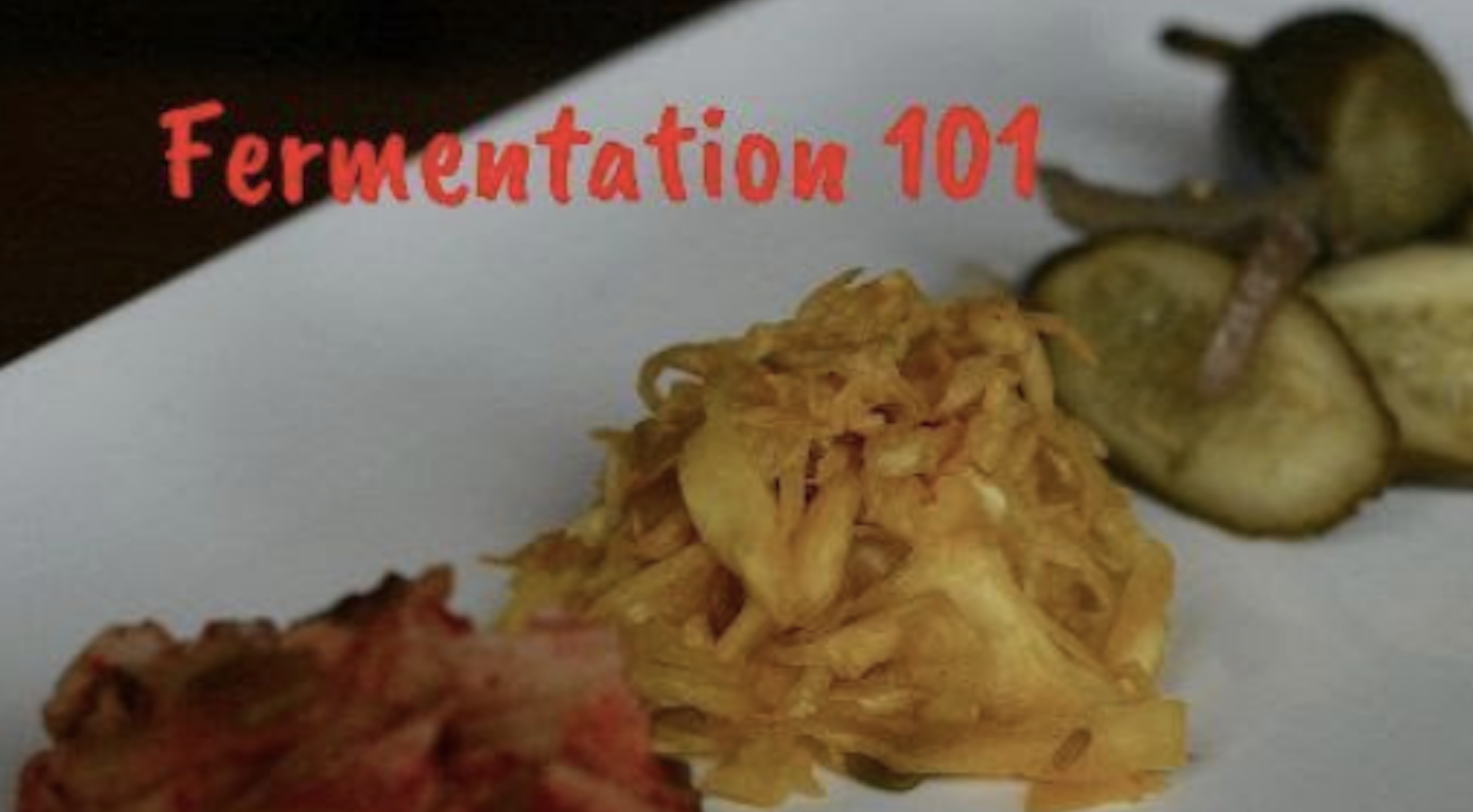 Nov 14, 2020 - Fermentation 101 FREE Webinar (Recording Available ...