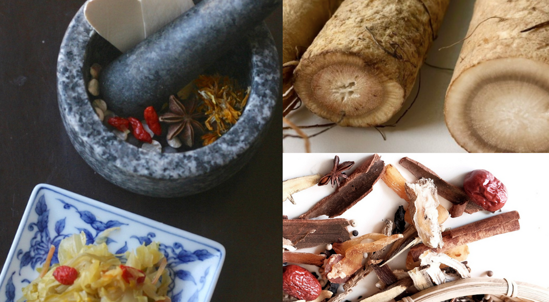 Apr 28, 2021 - Sauerkraut Meets Plant Medicine FREE Webinar (Recording Available)