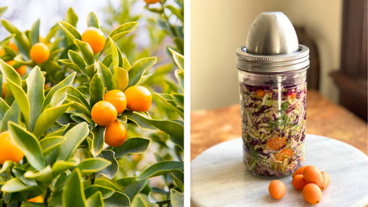 Kumquat Kraut