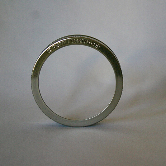 ChouAmi Replacement Stainless Steel Ring